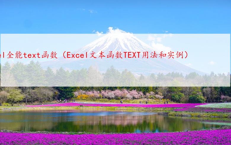 Excel全能text函数（Excel文本函数TEXT用法和实例）