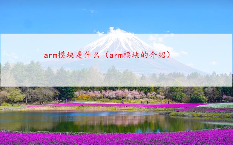 arm模块是什么（arm模块的介绍）