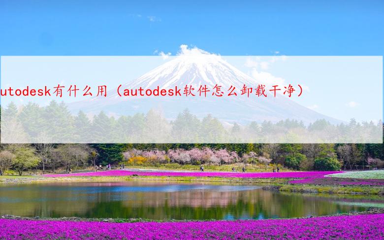 autodesk有什么用（autodesk软件怎么卸载干净）