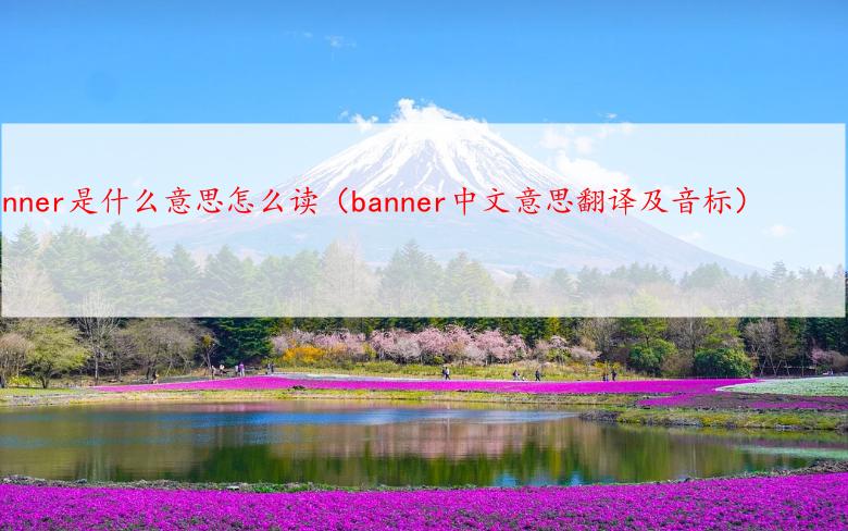 banner是什么意思怎么读（banner中文意思翻译及音标）