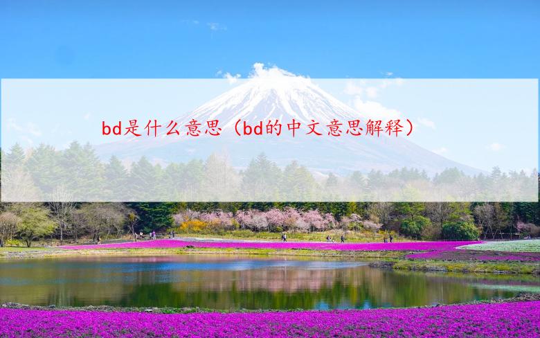 bd是什么意思（bd的中文意思解释）