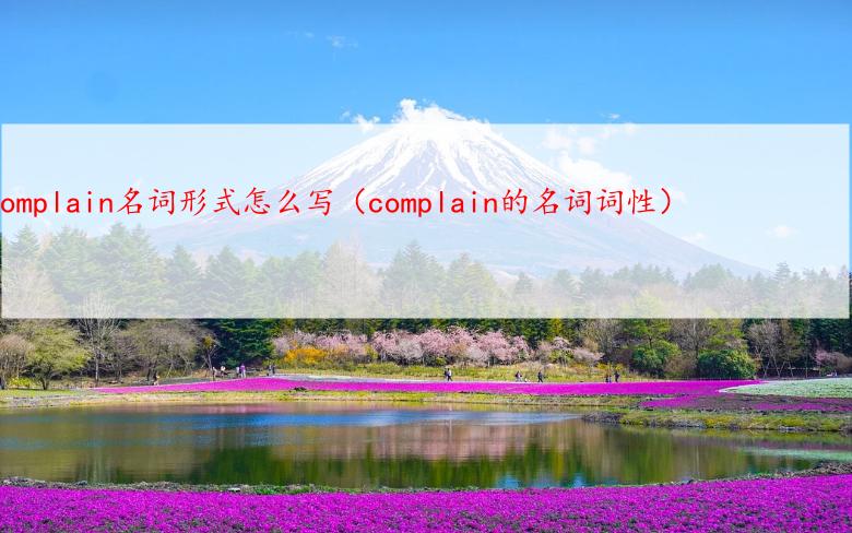 complain名词形式怎么写（complain的名词词性）