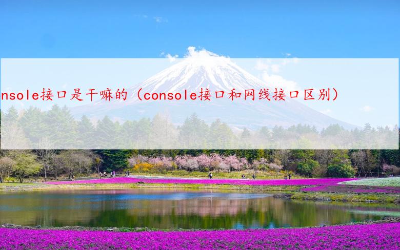console接口是干嘛的（console接口和网线接口区别）