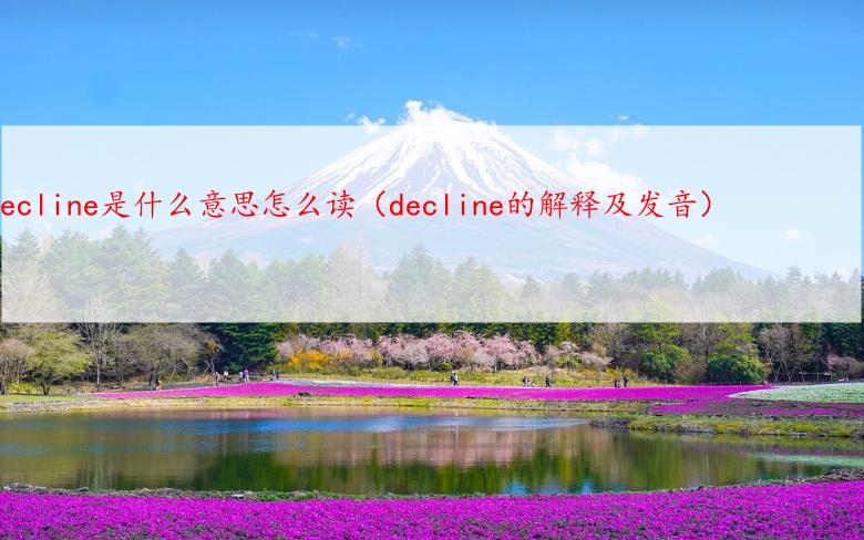 decline是什么意思怎么读（decline的解释及发音）