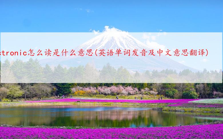 electronic怎么读是什么意思(英语单词发音及中文意思翻译)