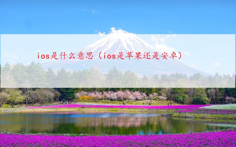ios是什么意思（ios是苹果还是安卓）