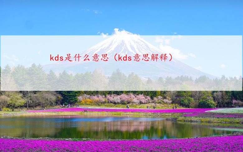 kds是什么意思（kds意思解释）