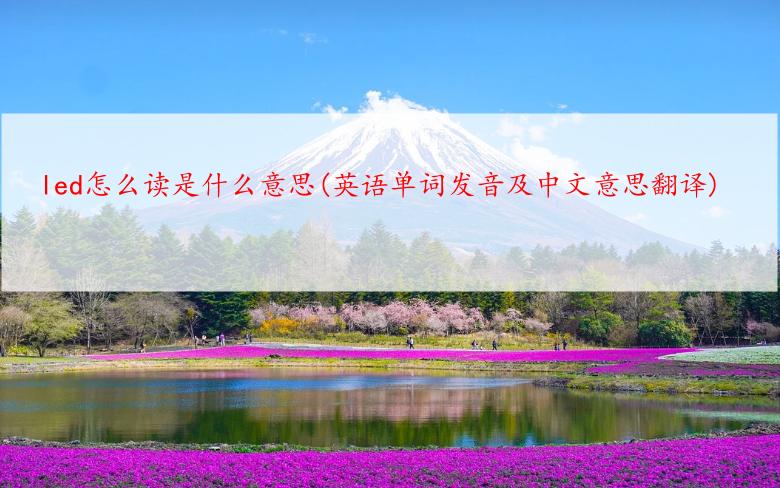 led怎么读是什么意思(英语单词发音及中文意思翻译)