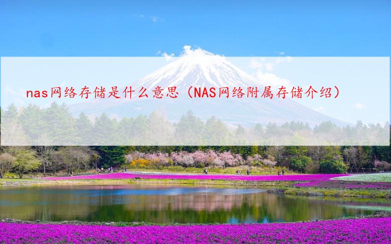 nas网络存储是什么意思（NAS网络附属存储介绍）