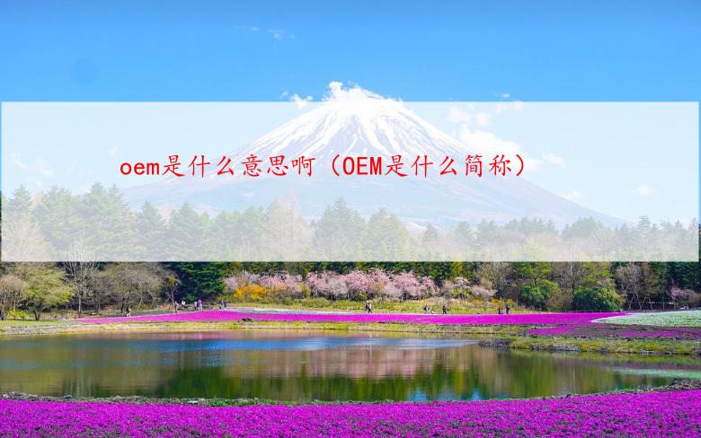 oem是什么意思啊（OEM是什么简称）