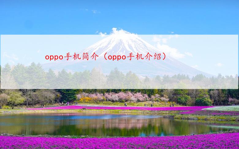 oppo手机简介（oppo手机介绍）