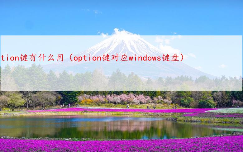 option键有什么用（option键对应windows键盘）