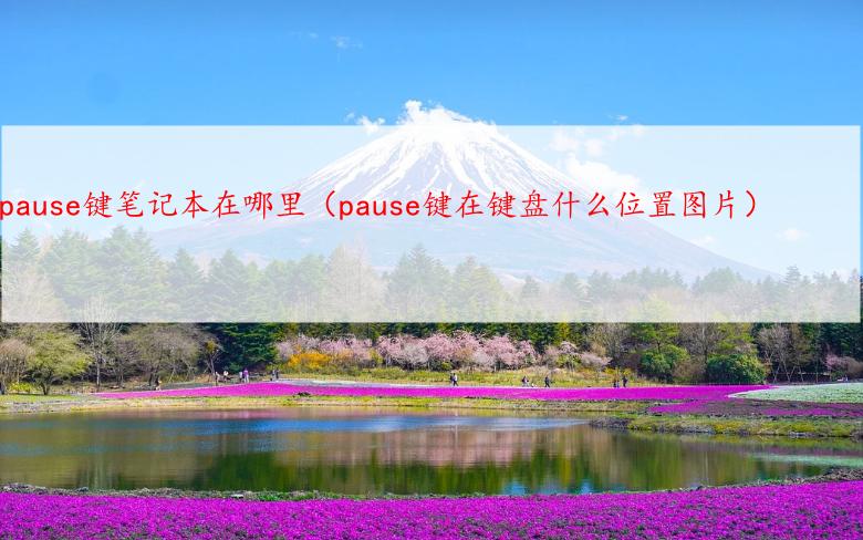 pause键笔记本在哪里（pause键在键盘什么位置图片）