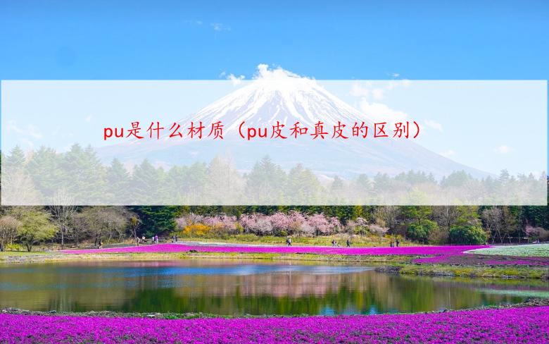 pu是什么材质（pu皮和真皮的区别）
