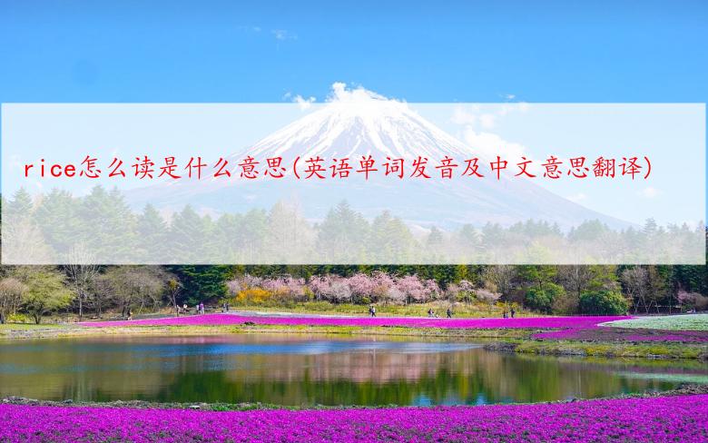 rice怎么读是什么意思(英语单词发音及中文意思翻译)
