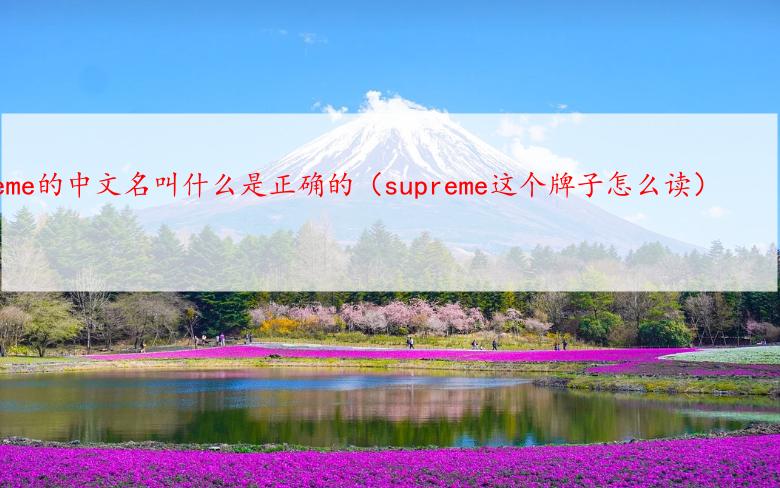 supreme的中文名叫什么是正确的（supreme这个牌子怎么读）