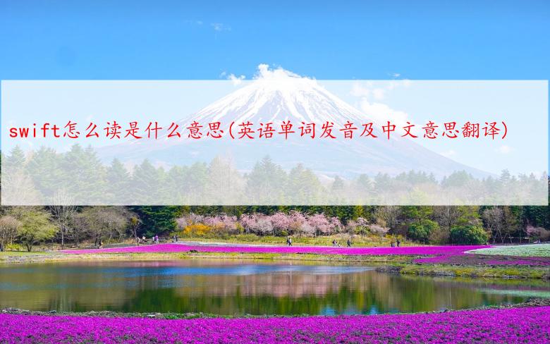 swift怎么读是什么意思(英语单词发音及中文意思翻译)