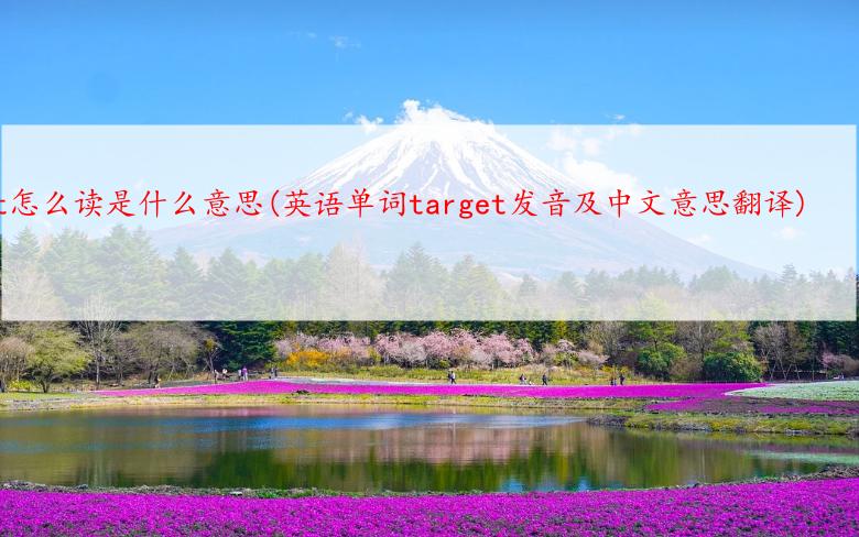 target怎么读是什么意思(英语单词target发音及中文意思翻译)