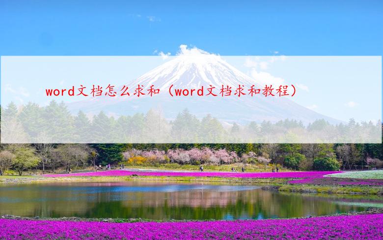 word文档怎么求和（word文档求和教程）