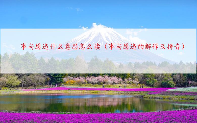 事与愿违什么意思怎么读（事与愿违的解释及拼音）
