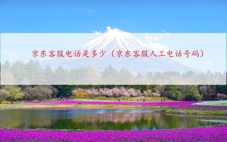 京东客服电话是多少（京东客服人工电话号码）
