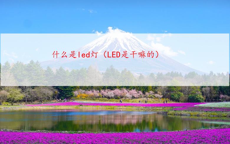什么是led灯（LED是干嘛的）