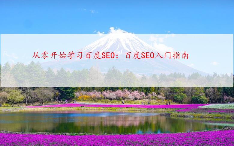 从零开始学习百度SEO：百度SEO入门指南