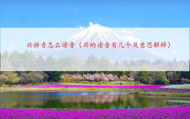 兴拼音怎么读音（兴的读音有几个及意思解释）