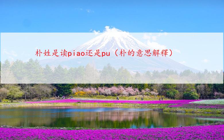朴姓是读piao还是pu（朴的意思解釋）