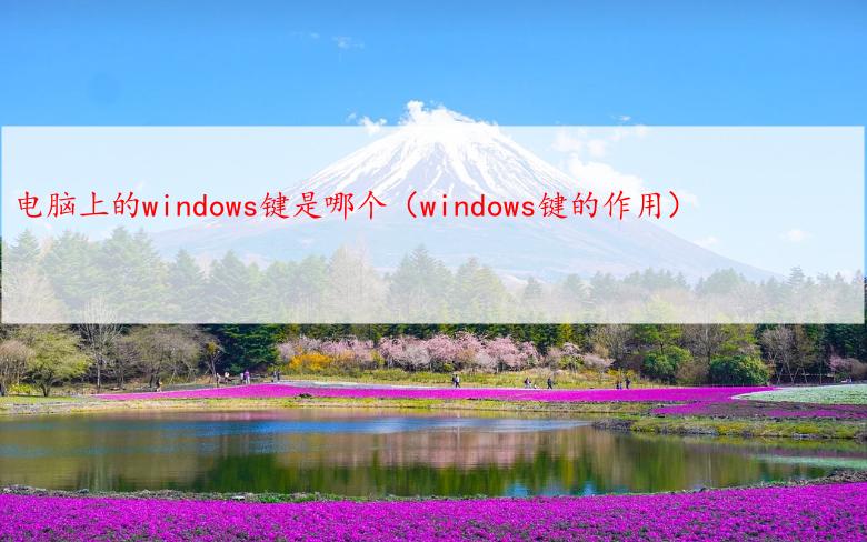 电脑上的windows键是哪个（windows键的作用）