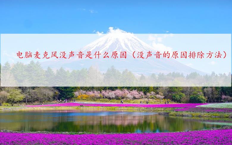 电脑麦克风没声音是什么原因（没声音的原因排除方法）
