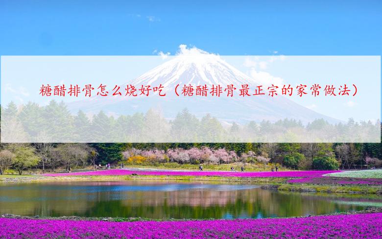 糖醋排骨怎么烧好吃（糖醋排骨最正宗的家常做法）