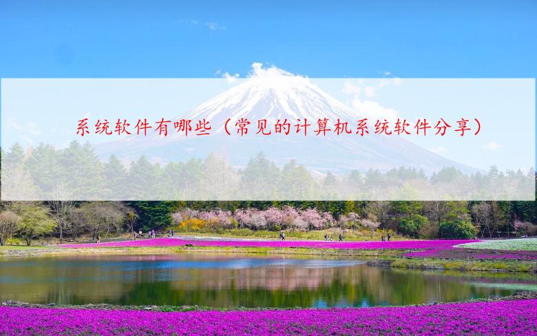 系统软件有哪些（常见的计算机系统软件分享）