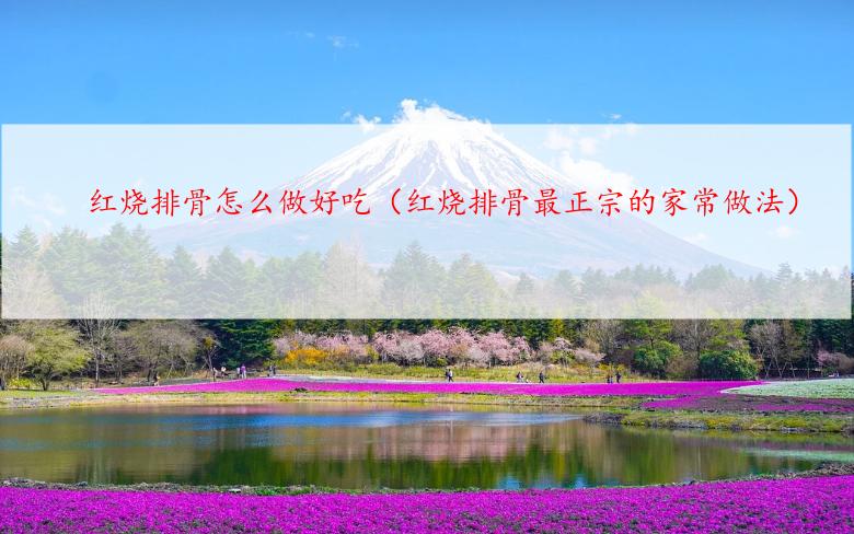 红烧排骨怎么做好吃（红烧排骨最正宗的家常做法）