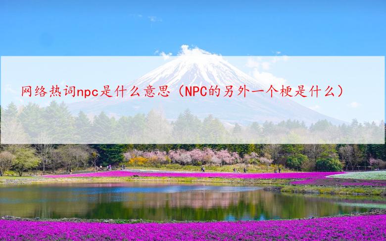 网络热词npc是什么意思（NPC的另外一个梗是什么）