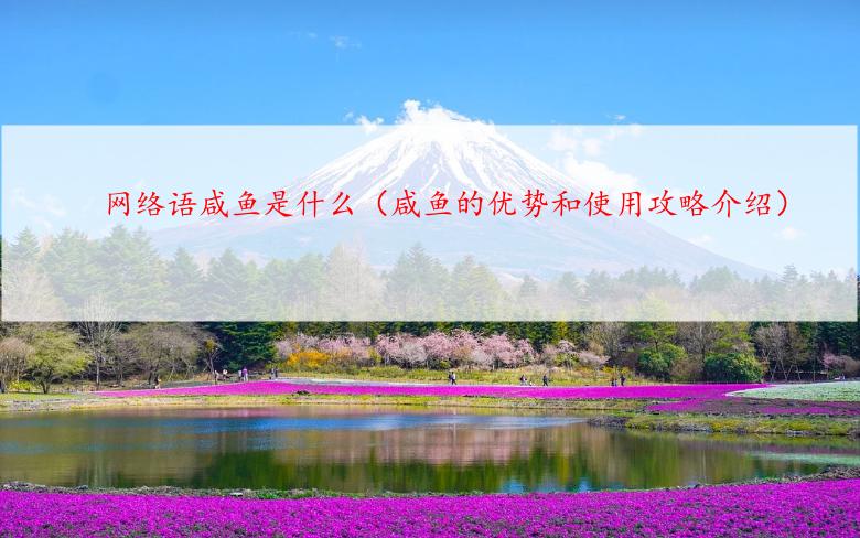 网络语咸鱼是什么（咸鱼的优势和使用攻略介绍）