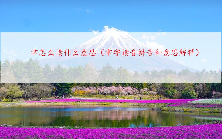 聿怎么读什么意思（聿字读音拼音和意思解释）