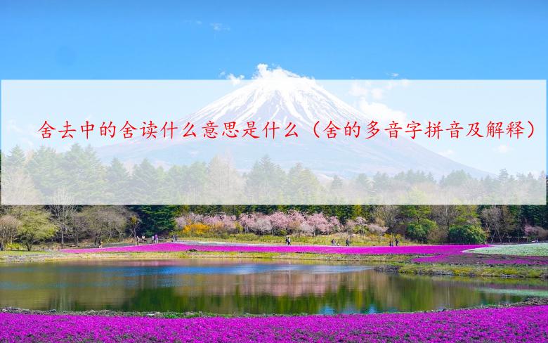 舍去中的舍读什么意思是什么（舍的多音字拼音及解释）