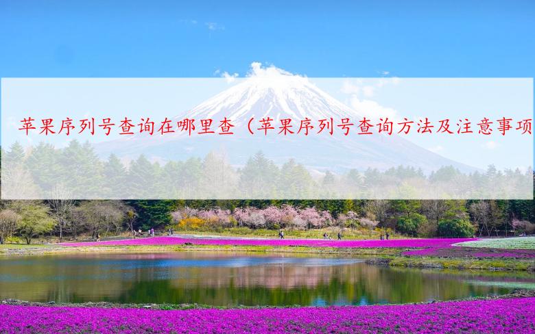 苹果序列号查询在哪里查（苹果序列号查询方法及注意事项）