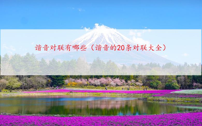 谐音对联有哪些（谐音的20条对联大全）