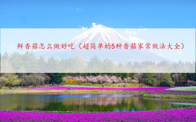 鲜香菇怎么做好吃（超简单的5种香菇家常做法大全）